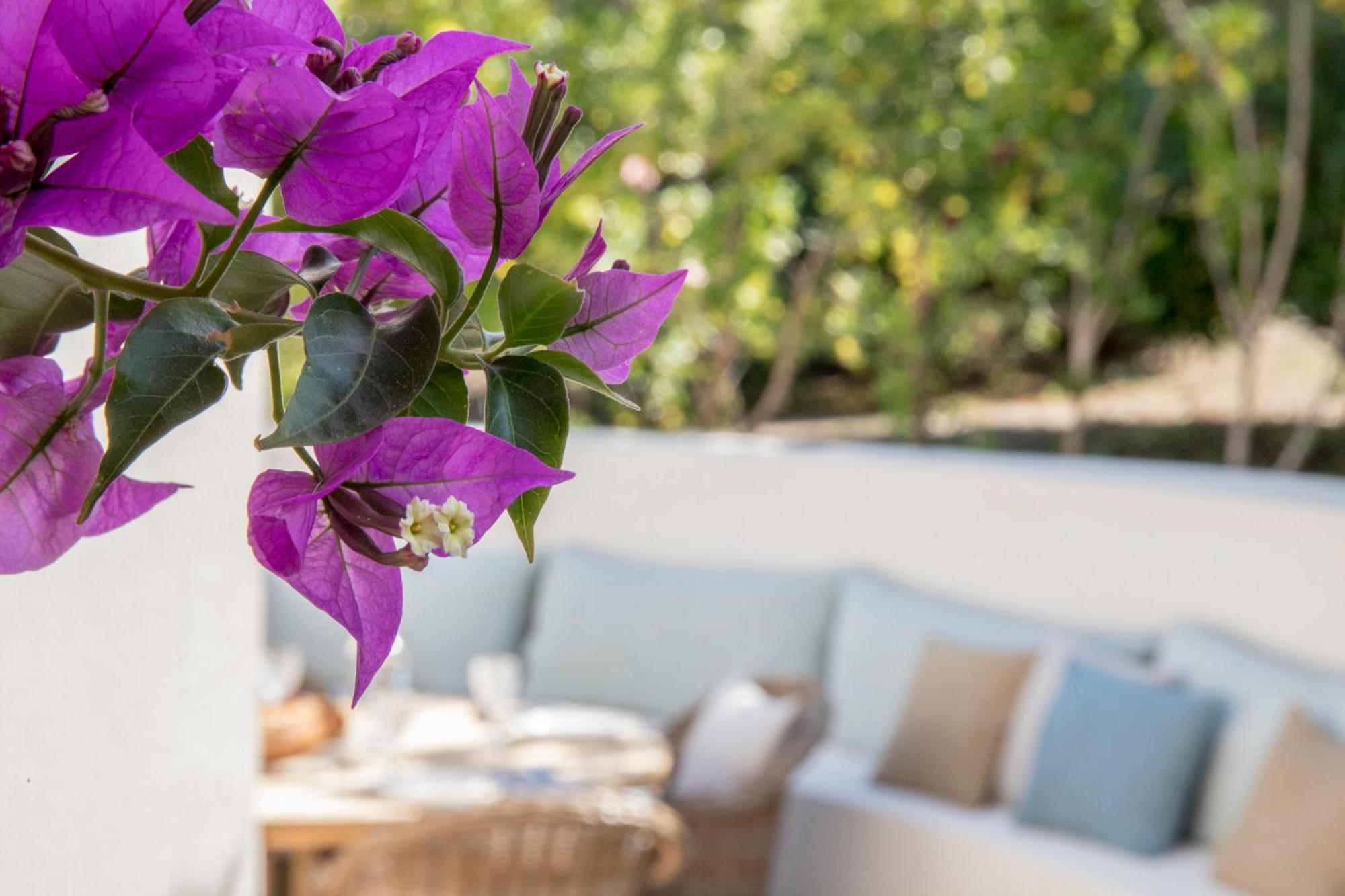 Boutique Hotel Chateau Rouher Propriano  Εξωτερικό φωτογραφία